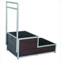 Handrail, storage step unit